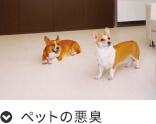 ペットの臭い悪臭