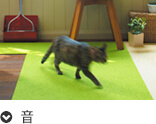 音