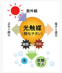 光触媒付壁紙とは