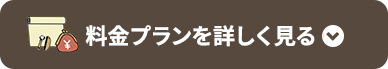 料金プランを詳しく見る