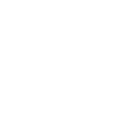 Icon03