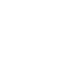 Icon04